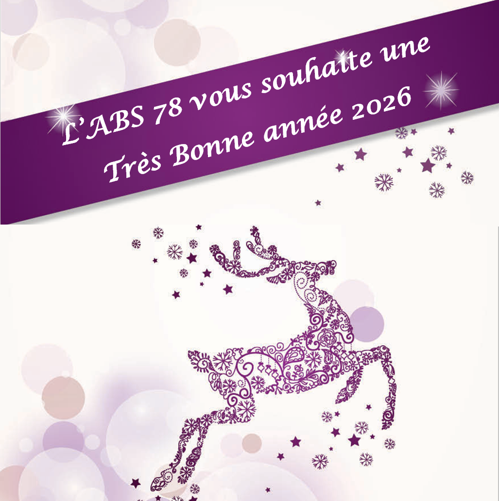 Bonne annee 2026